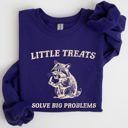 Large Purple Little Treats Solve Big Problems Raccoon Meme Aesthetic Funny Edition Sweatshirt