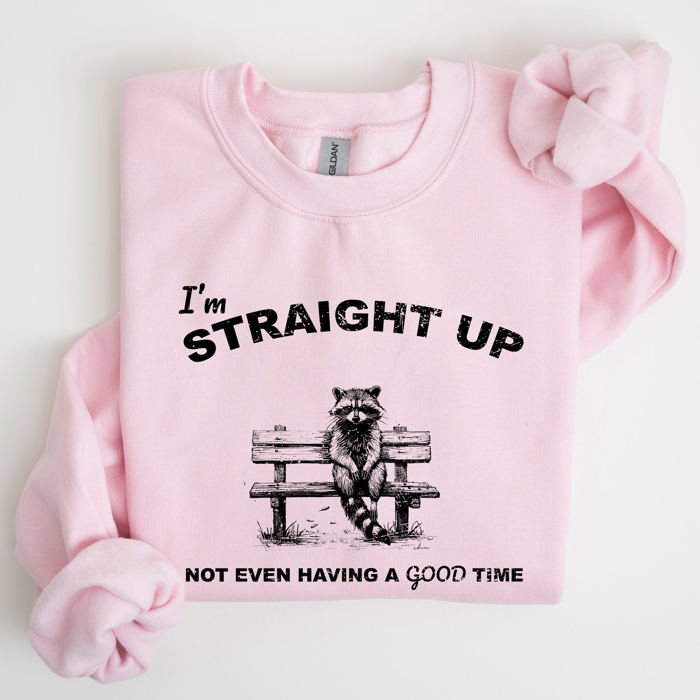 Not Having A Good Time Raccoon Meme Expression Of Internet Humor Edition Sweatshirt