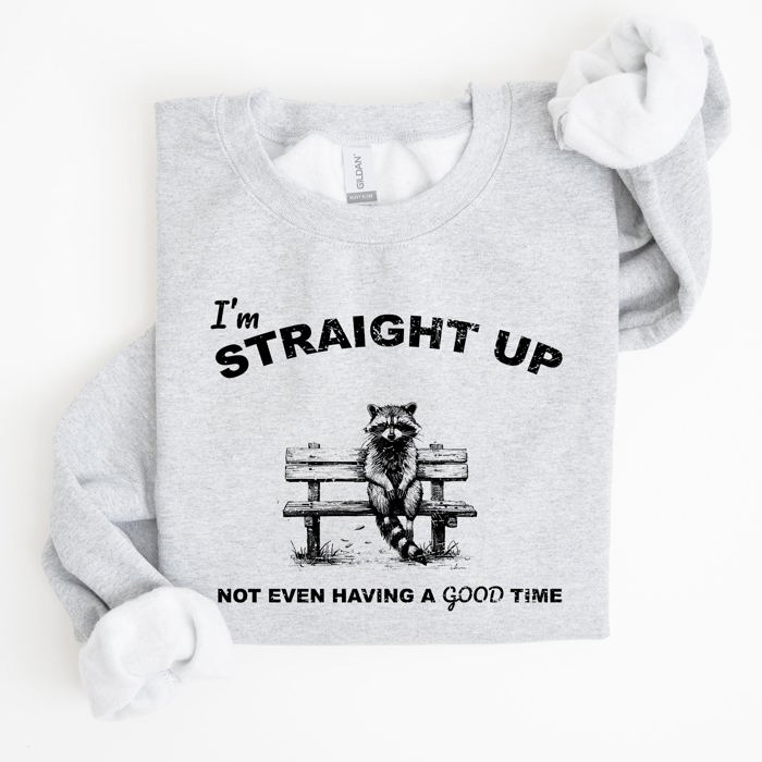 Not Having A Good Time Raccoon Meme Expression Of Internet Humor Edition Sweatshirt