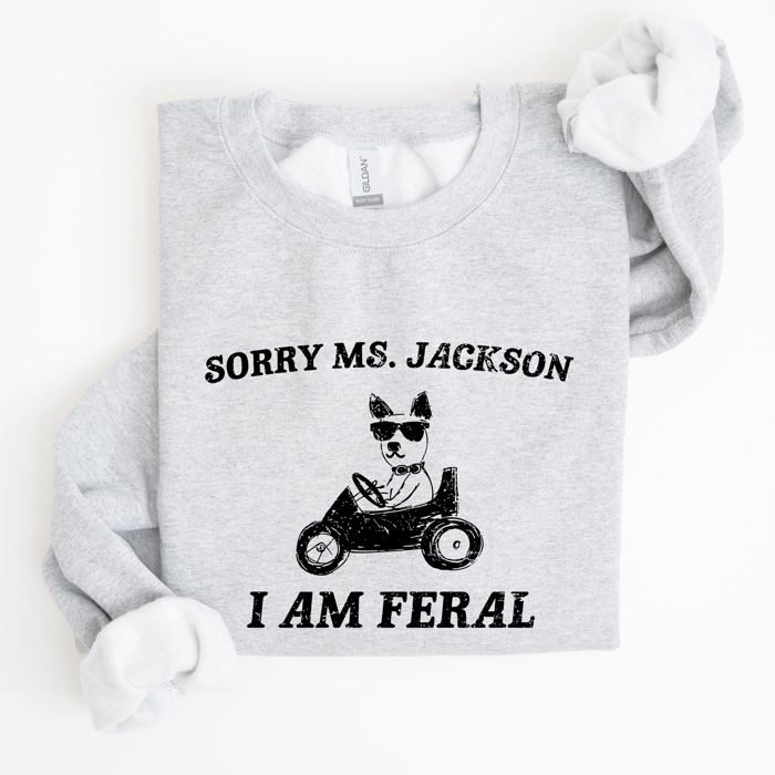 Sorry Ms Raccoon Meme Expression Of Internet Humor And Quirky Reactions Sweatshirt