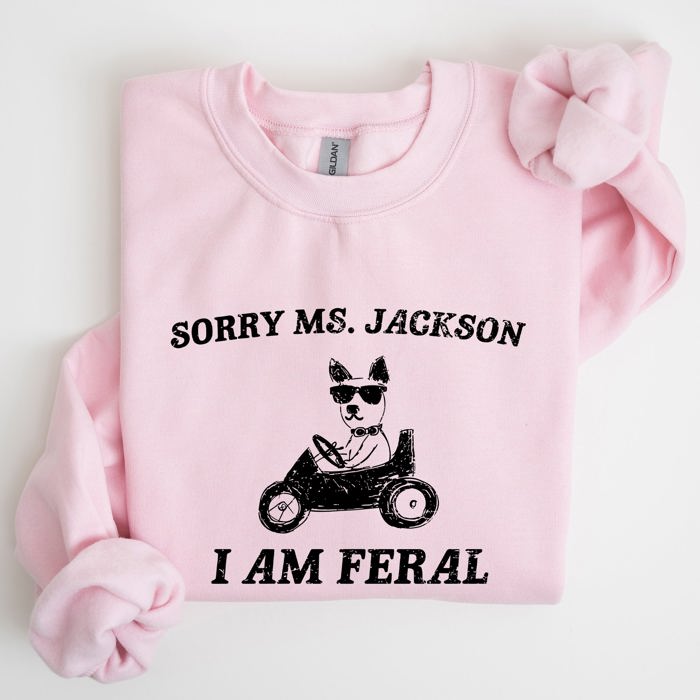 Sorry Ms Raccoon Meme Expression Of Internet Humor And Quirky Reactions Sweatshirt