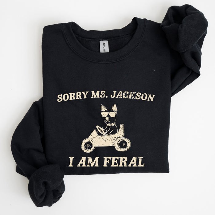 Sorry Ms Raccoon Meme Expression Of Internet Humor And Quirky Reactions Sweatshirt