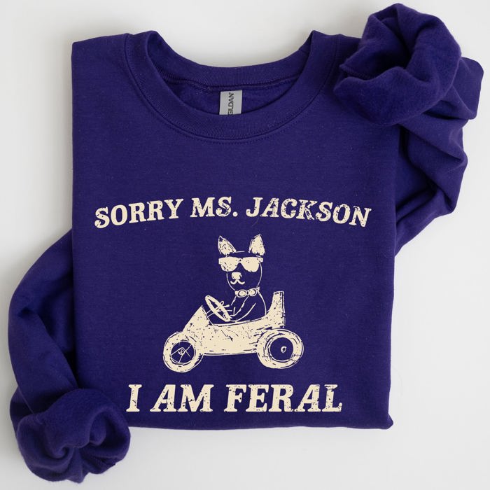 Sorry Ms Raccoon Meme Expression Of Internet Humor And Quirky Reactions Sweatshirt