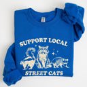  Support Local Street Cats Raccoon Skunk Possum Meme Sweatshirt For Animal Lovers