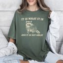  It Is What It Is And It Is Not Great Raccoon Meme Vintage Style Graphic Artwork Retro Design Comfort Colors Tee