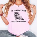 XL Blossom Light Pink It Is What It Is And It Is Not Great Raccoon Meme Vintage Style Graphic Artwork Retro Design Comfort Colors Tee