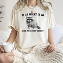 XL Ivory Cream It Is What It Is And It Is Not Great Raccoon Meme Vintage Style Graphic Artwork Retro Design Comfort Colors Tee