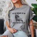 XXL Granite Light Gray It Is What It Is And It Is Not Great Raccoon Meme Vintage Style Graphic Artwork Retro Design Comfort Colors Tee