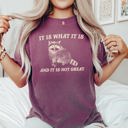 XXXL Berry Red It Is What It Is And It Is Not Great Raccoon Meme Vintage Style Graphic Artwork Retro Design Comfort Colors Tee