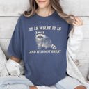 XXL Denim Blue It Is What It Is And It Is Not Great Raccoon Meme Vintage Style Graphic Artwork Retro Design Comfort Colors Tee