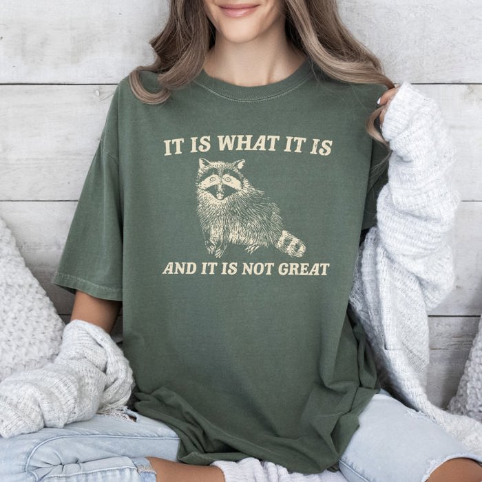 It Is What It Is And It Is Not Great Raccoon Meme Vintage Style Graphic Artwork Retro Design Comfort Colors Tee