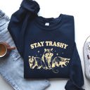  Stay Trashy Raccoon Possum Aesthetic Meme Funny Graphic Illustration Quote Pop Culture Style Sweatshirt