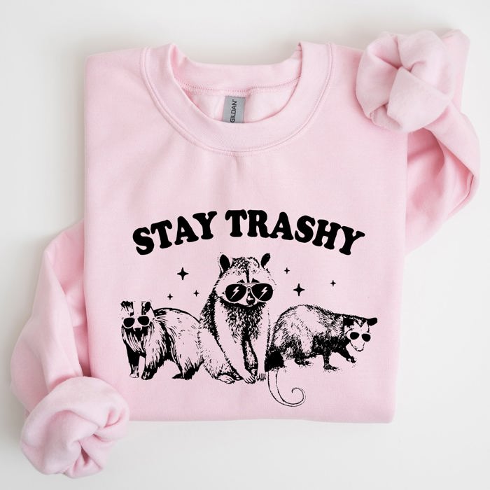 Stay Trashy Raccoon Possum Aesthetic Meme Funny Graphic Illustration Quote Pop Culture Style Sweatshirt