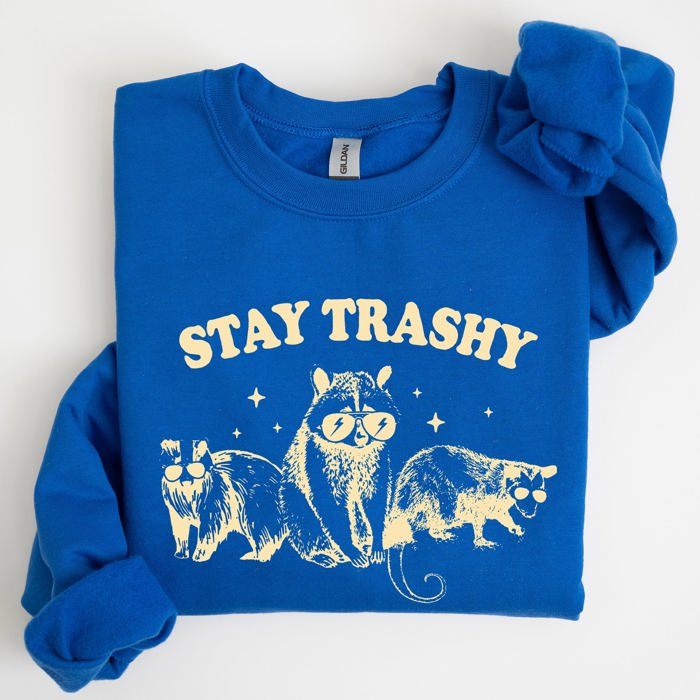 Stay Trashy Raccoon Possum Aesthetic Meme Funny Graphic Illustration Quote Pop Culture Style Sweatshirt