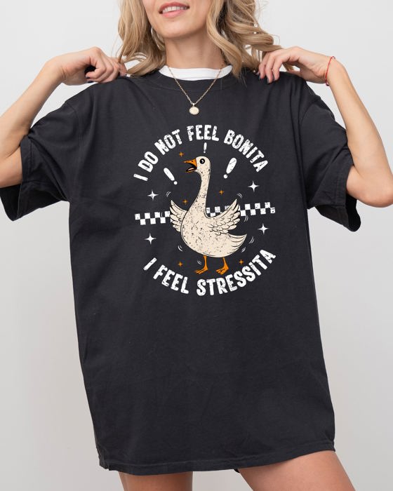 No Bonita Feel Stressita Stress Silly Goose Meme Mental Health Self Care Comfort Colors Tee