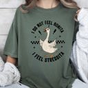 Small Moss Dark Green No Bonita Feel Stressita Stress Silly Goose Meme Mental Health Self Care Comfort Colors Tee