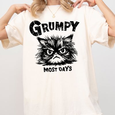 Grumpy Cat Grumpy Most Days Snarky Sarcasm Funny Attitude Vintage Vibe Satirical Cat Meme Comfort Colors Tee