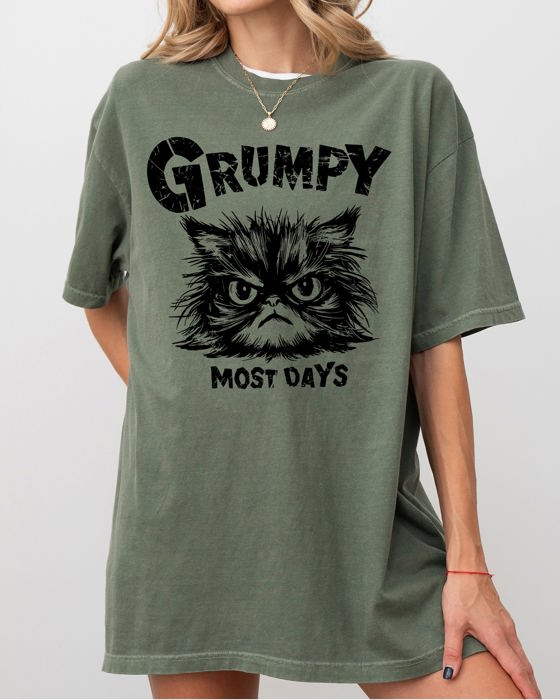 Grumpy Cat Grumpy Most Days Snarky Sarcasm Funny Attitude Vintage Vibe Satirical Cat Meme Comfort Colors Tee