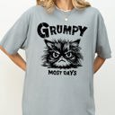 XL Granite Grumpy Cat Grumpy Most Days Snarky Sarcasm Funny Attitude Vintage Vibe Satirical Cat Meme Comfort Colors Tee