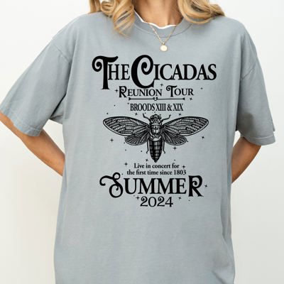 Cicadas Reunion Tour Summer 2024 Nature Lover Double Brood XIII XIX Outdoors Concert Shirt Comfort Colors Tee
