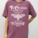 Medium Berry Red Cicadas Reunion Tour Summer 2024 Nature Lover Double Brood XIII XIX Outdoors Concert Shirt Comfort Colors Tee