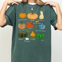  Pumpkins Jack-O-Lanterns Fall Halloween Thanksgiving Illustration Comfort Colors Tee
