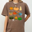XL Espresso Brown Pumpkins Jack-O-Lanterns Fall Halloween Thanksgiving Illustration Comfort Colors Tee