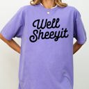 XL Violet Purple Well Sheeyit Crude Vulgar Shirt Original Edition Vintage Classic Bold Statement Comfort Colors Tee
