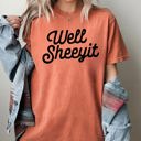 Large Yam Well Sheeyit Crude Vulgar Shirt Original Edition Vintage Classic Bold Statement Comfort Colors Tee