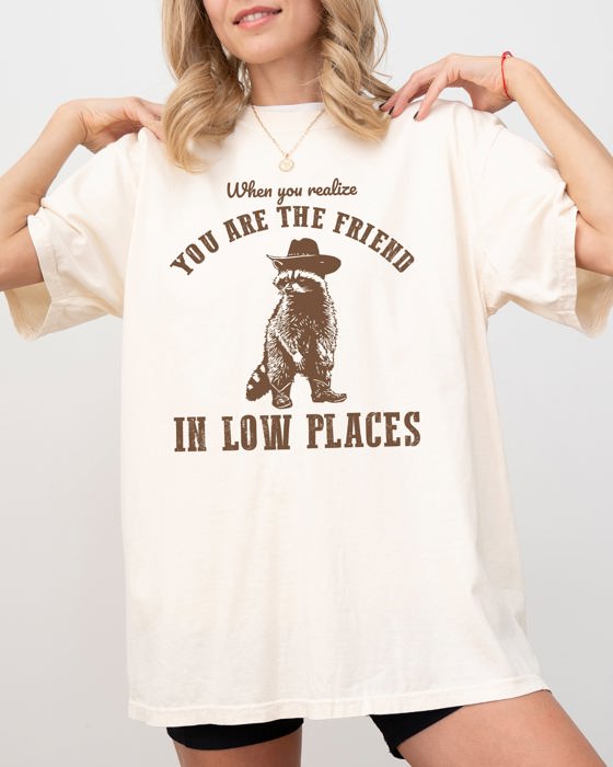 When You Realize, You Are The Friend In Low Places Raccoon Sarcastic Graphic Tee