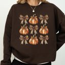 XXXL Dark Chocolate Brown Leopard Print Pumpkins With Coquette Ribbons And Bows Halloween Autumn Sweatshirt