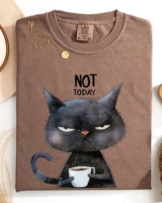 Not Today Cat Grumpy Coffee Meme Morning Mood For Slow Mornings Comfort Colors Tee