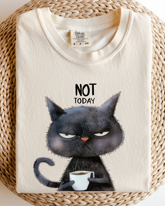 Not Today Cat Grumpy Coffee Meme Morning Mood For Slow Mornings Comfort Colors Tee