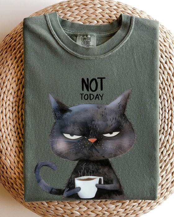 Not Today Cat Grumpy Coffee Meme Morning Mood For Slow Mornings Comfort Colors Tee