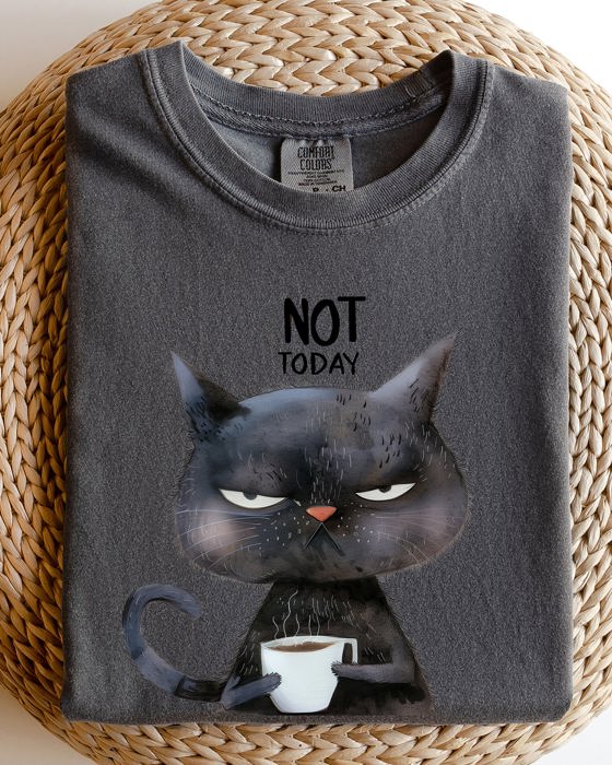 Not Today Cat Grumpy Coffee Meme Morning Mood For Slow Mornings Comfort Colors Tee