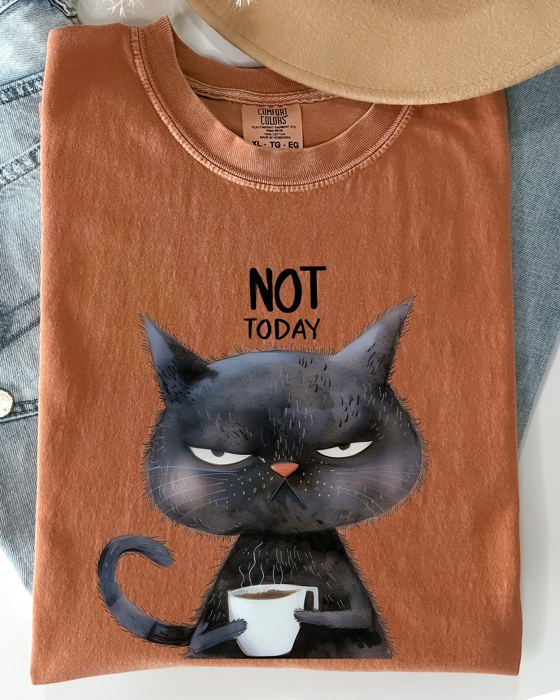 Not Today Cat Grumpy Coffee Meme Morning Mood For Slow Mornings Comfort Colors Tee