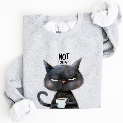 Not Today Cat Grumpy Coffee Meme Cozy Cat Lover Quote Pop Culture Graphic Sweatshirt