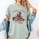 Medium Bay Light Sage Sorry Santa I've Been Feral Raccoon Christmas Presents For The Naughty List And Holiday Mischief Comfort Colors Tee