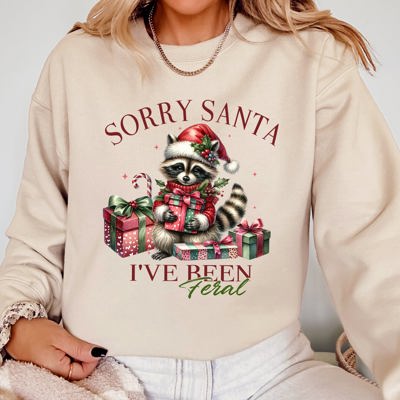 Sorry Santa, I've Been Feral Raccoon With Presents For Christmas Holiday Sweatshirt