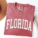 Small Crimson Red Florida Football State Pride Tailgate Edition Game Day Spirit Comfort Colors Tee