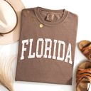 Large Espresso Brown Florida Football State Pride Tailgate Edition Game Day Spirit Comfort Colors Tee