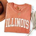 Illinois Football Tailgate Party Big Game State Pride University College Comfort Colors Tee