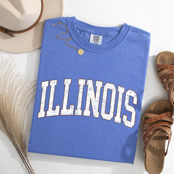Illinois Football Tailgate Party Big Game State Pride University College Comfort Colors Tee
