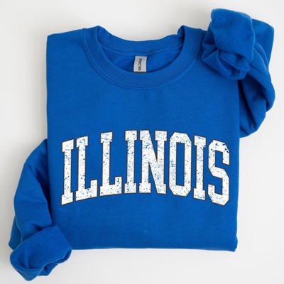 Illinois Football Game Day Tailgate Party Big Game State University Pride Sweatshirt