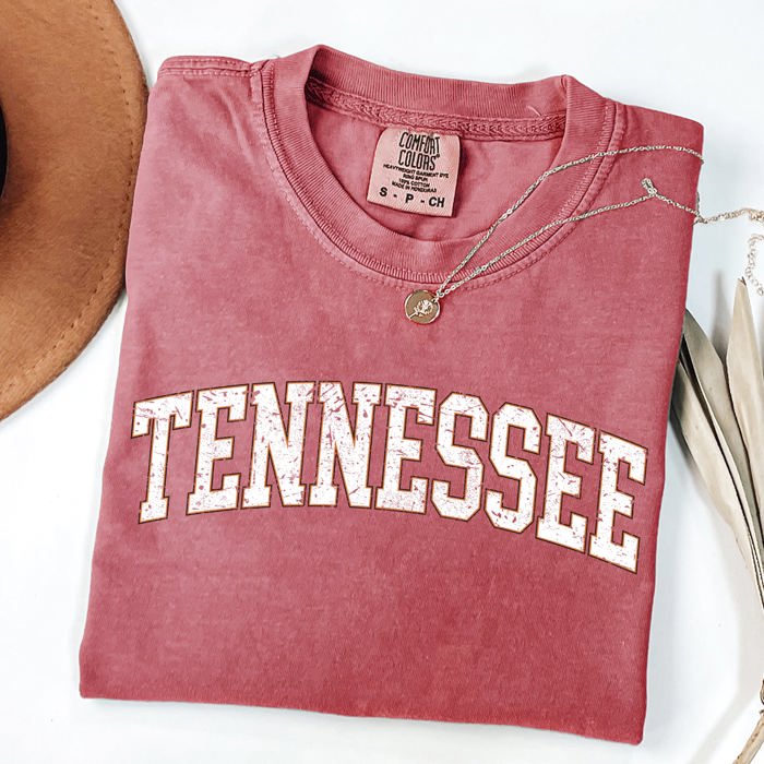 Tennessee Football Tailgate Party Game Day University Pride Statewide Edition Comfort Colors Tee