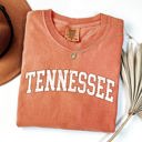  Tennessee Football Tailgate Party Game Day University Pride Statewide Edition Comfort Colors Tee