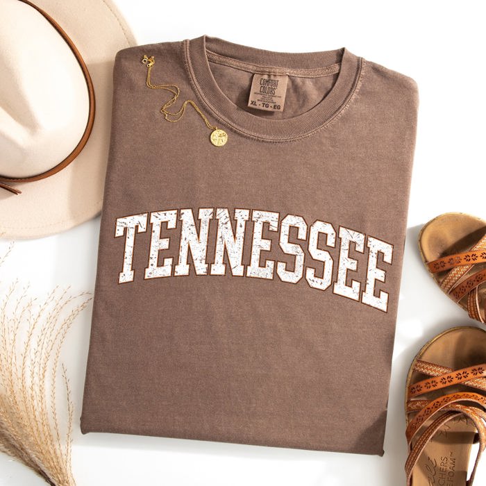 Tennessee Football Tailgate Party Game Day University Pride Statewide Edition Comfort Colors Tee