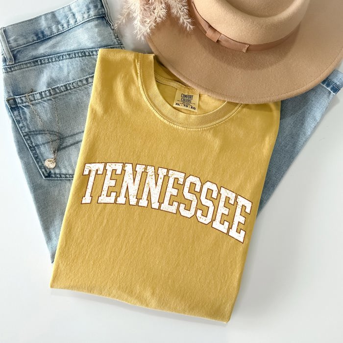 Tennessee Football Tailgate Party Game Day University Pride Statewide Edition Comfort Colors Tee