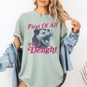 XXXL Bay Light Sage First Of All I'm A Delight Possum Comfort Colors Tee