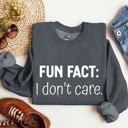 Small Dark Gray Heather Fun Fact I Don't Care Sarcastic College Humor Statement Graphic Edition Sweatshirt